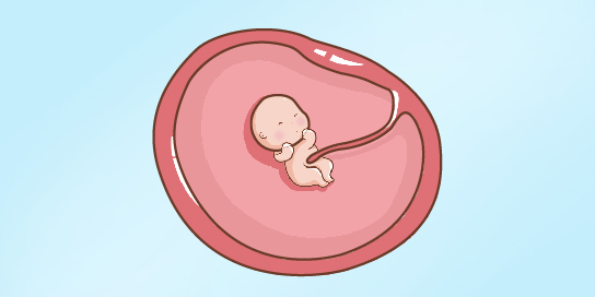 宝宝升级成胎儿，并向你发出第一份惊喜