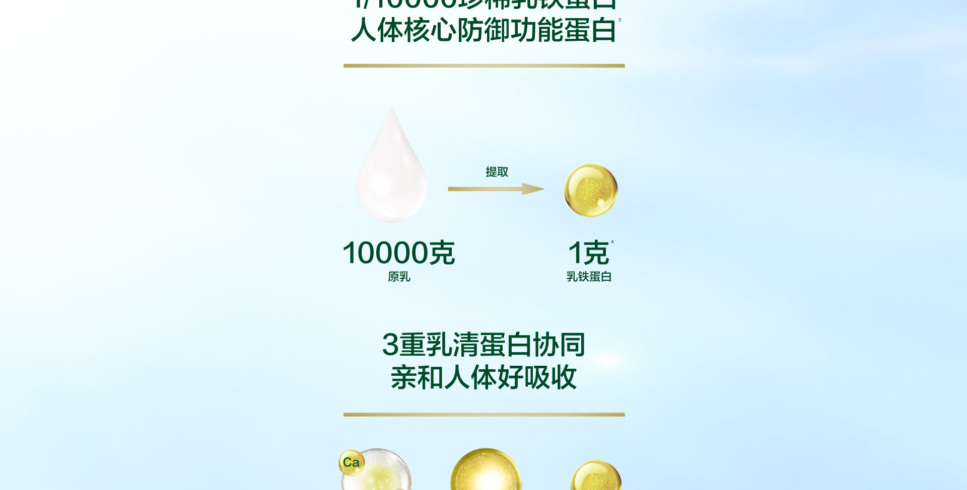 每日悦享益生菌乳清蛋白粉