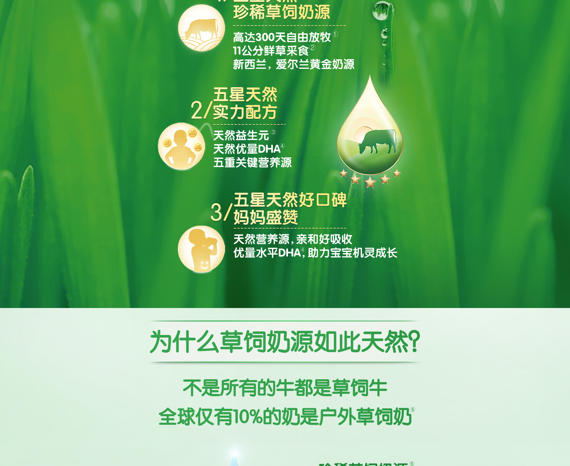 五星安儿宝