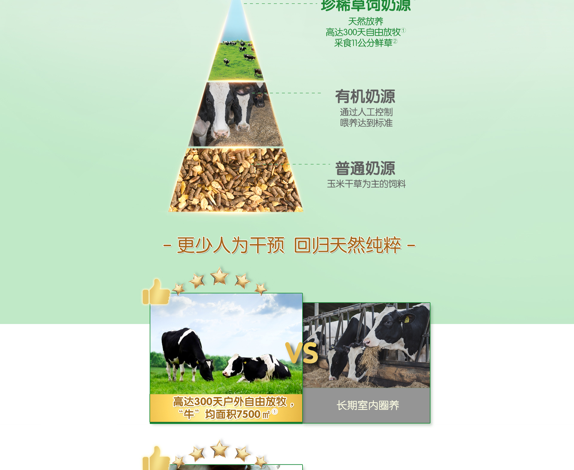 五星安儿宝