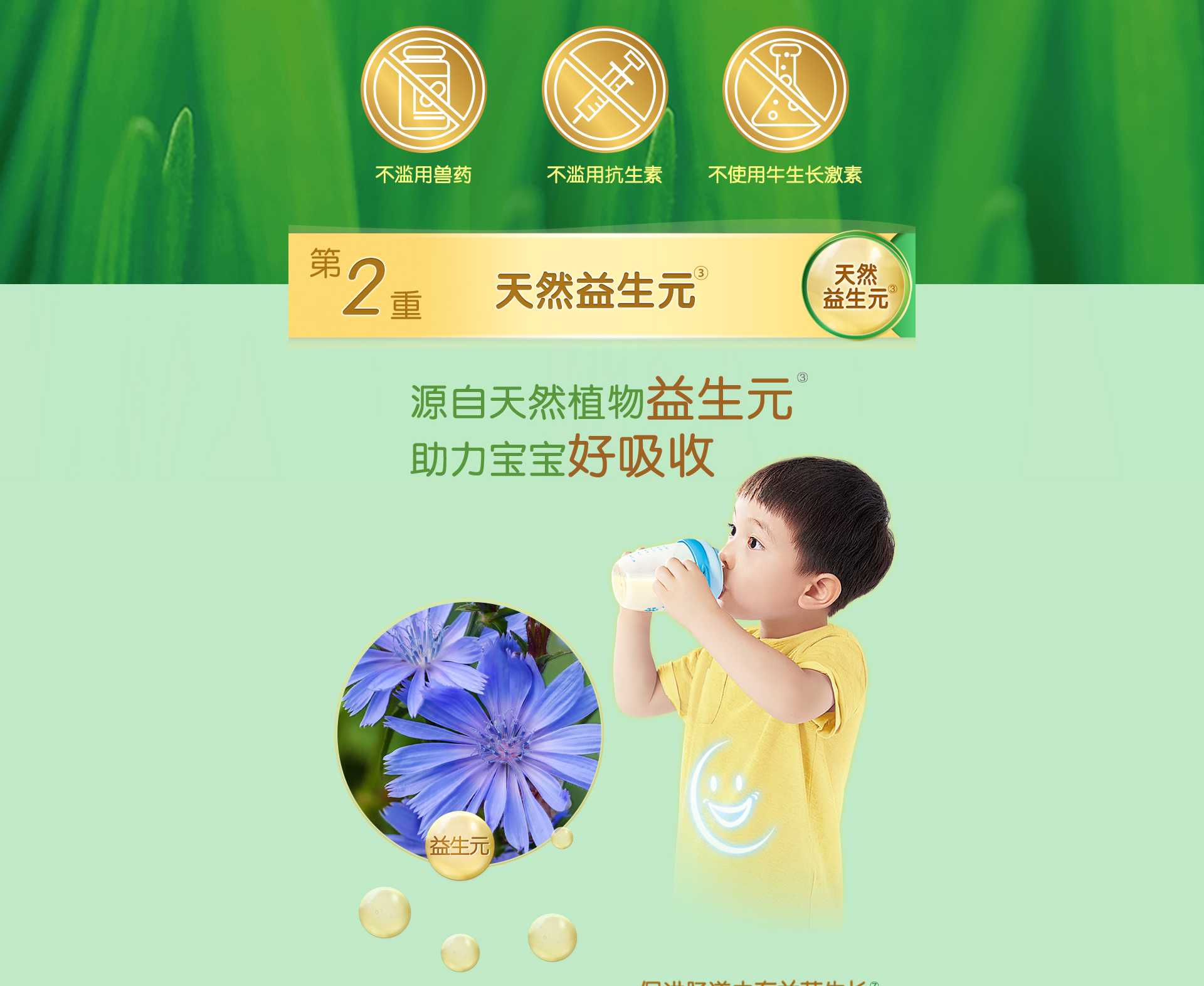 五星安儿宝