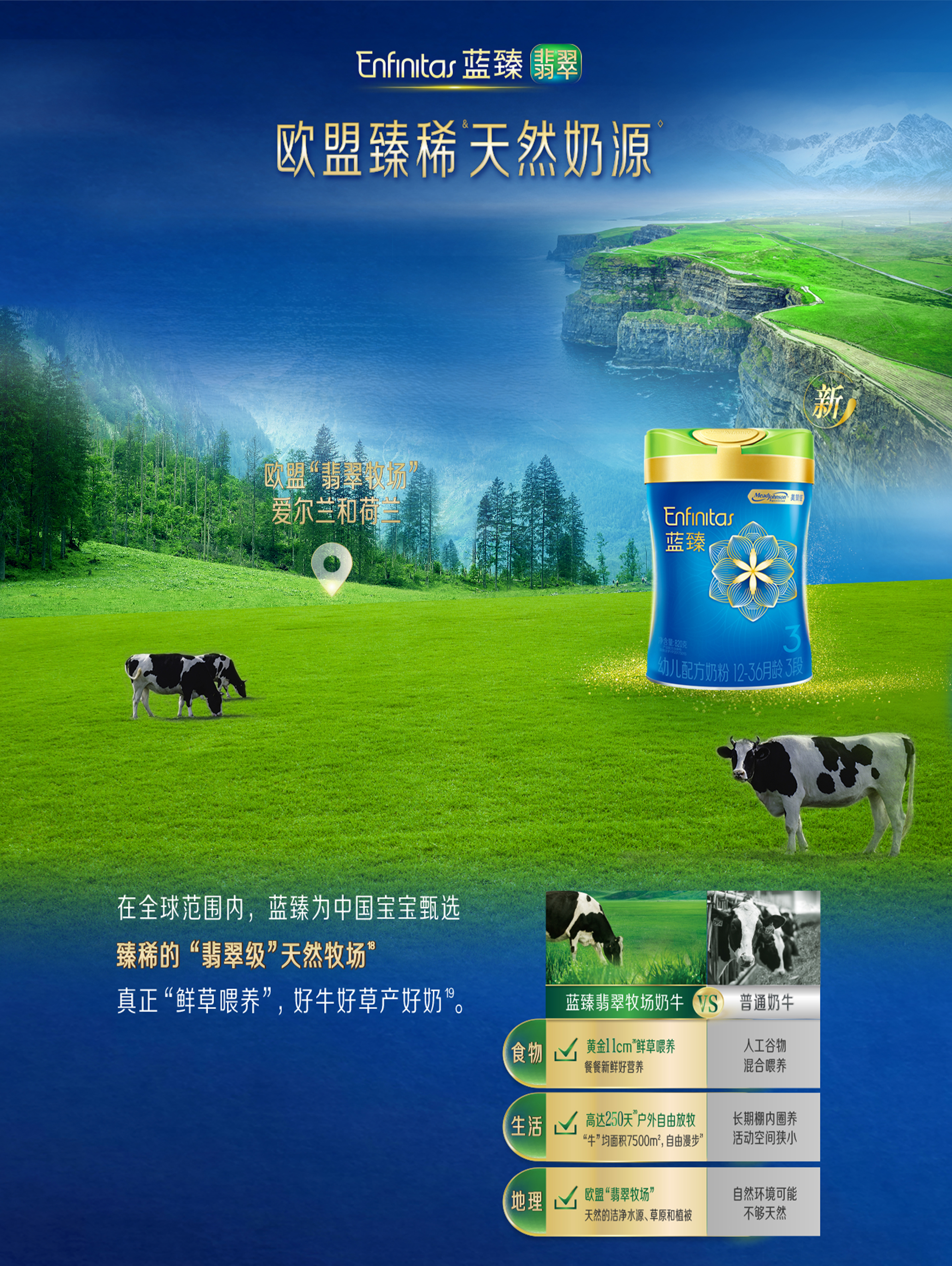 蓝臻翡翠3段