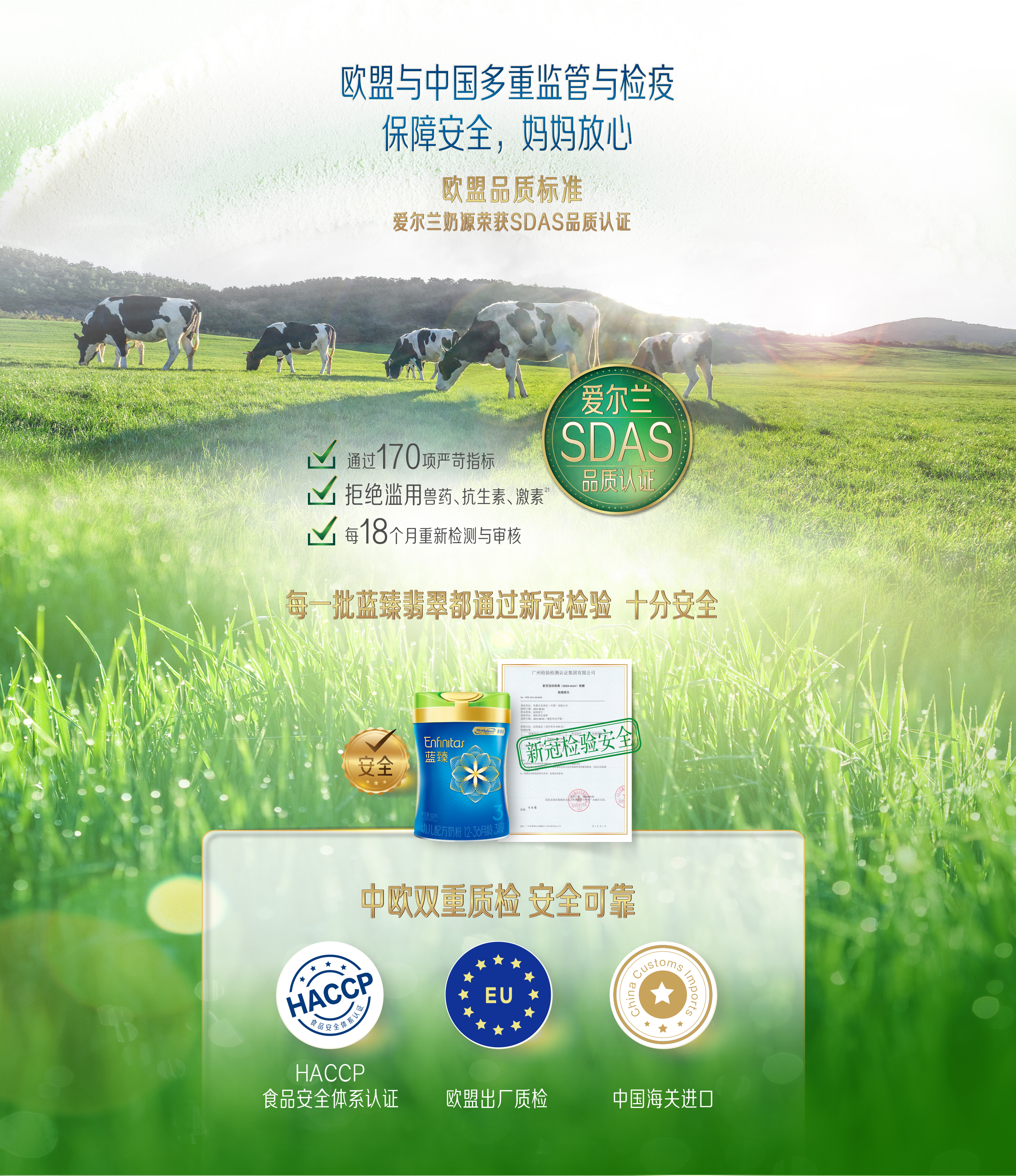 蓝臻翡翠3段