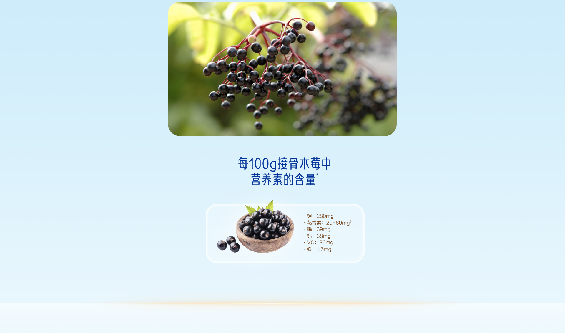学优力接骨木莓针叶樱桃饮